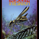 Image for article titled The Most Awesome PC Box Art In The World